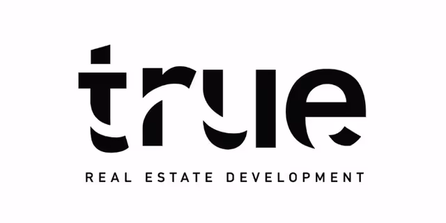 True Future Real Estate Development logo