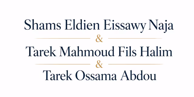 Shams Eldien Eissawy Naja & Tarek Mahmoud Fils Halim & Tarek Ossama Abdou logo