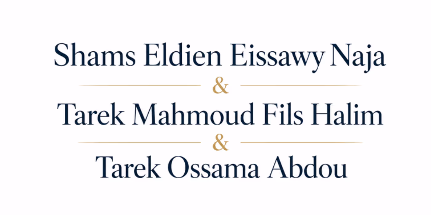Shams Eldien Eissawy Naja & Tarek Mahmoud Fils Halim & Tarek Ossama Abdou projects