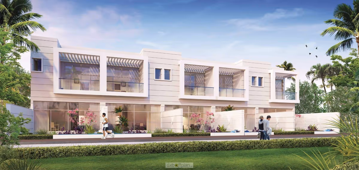 دریمز