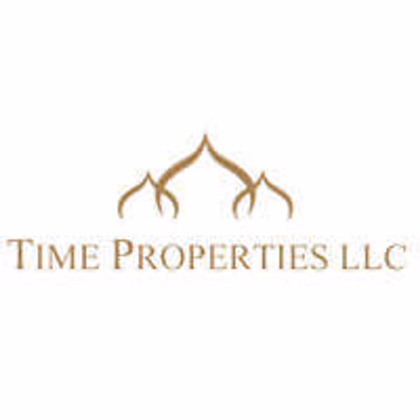 Time Properties projects