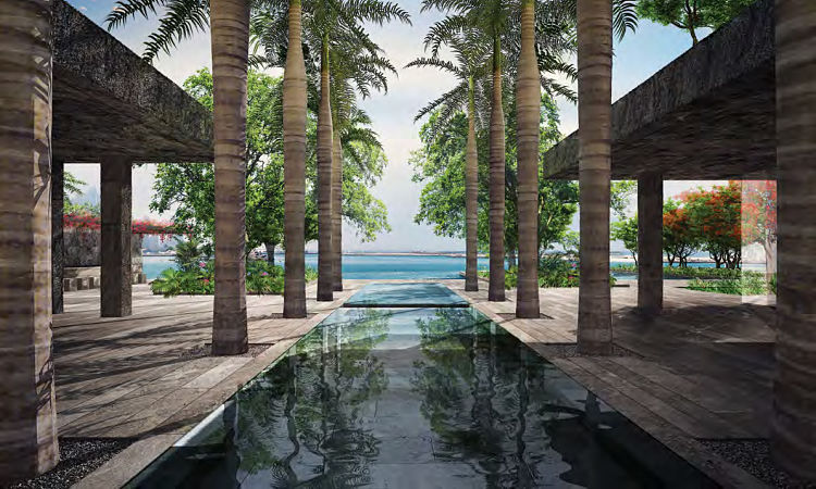 One Palm - Beautiful Surroundings