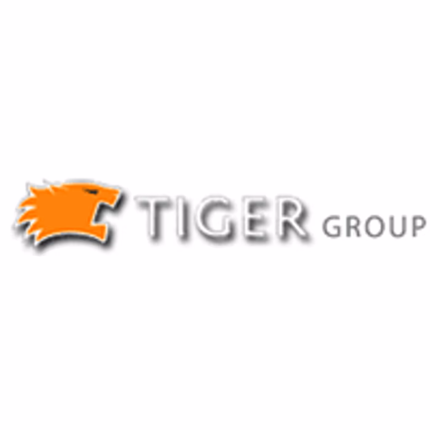 Tiger Group projects
