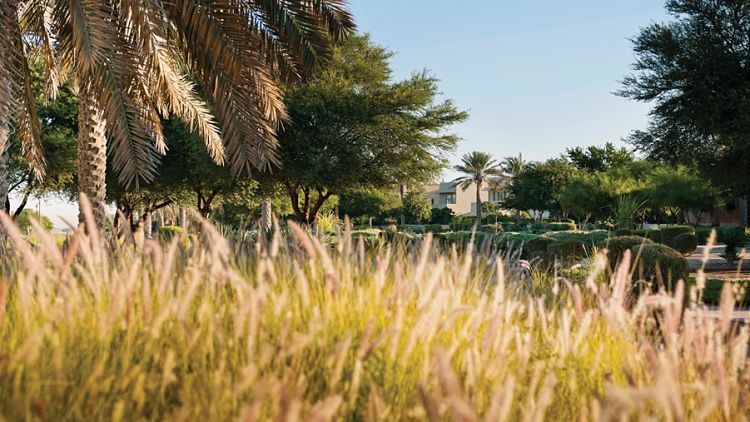 Azalea Villas in Arabian Ranches | Emaar Properties
