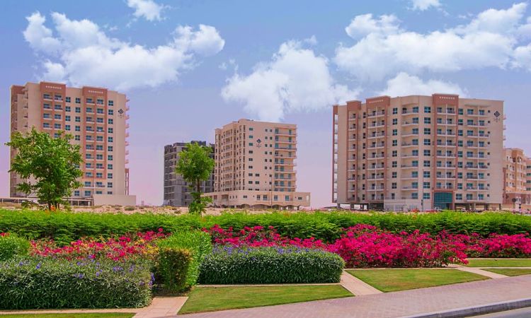 Q Line Apartments in Liwan | Al Mazaya Real Estate