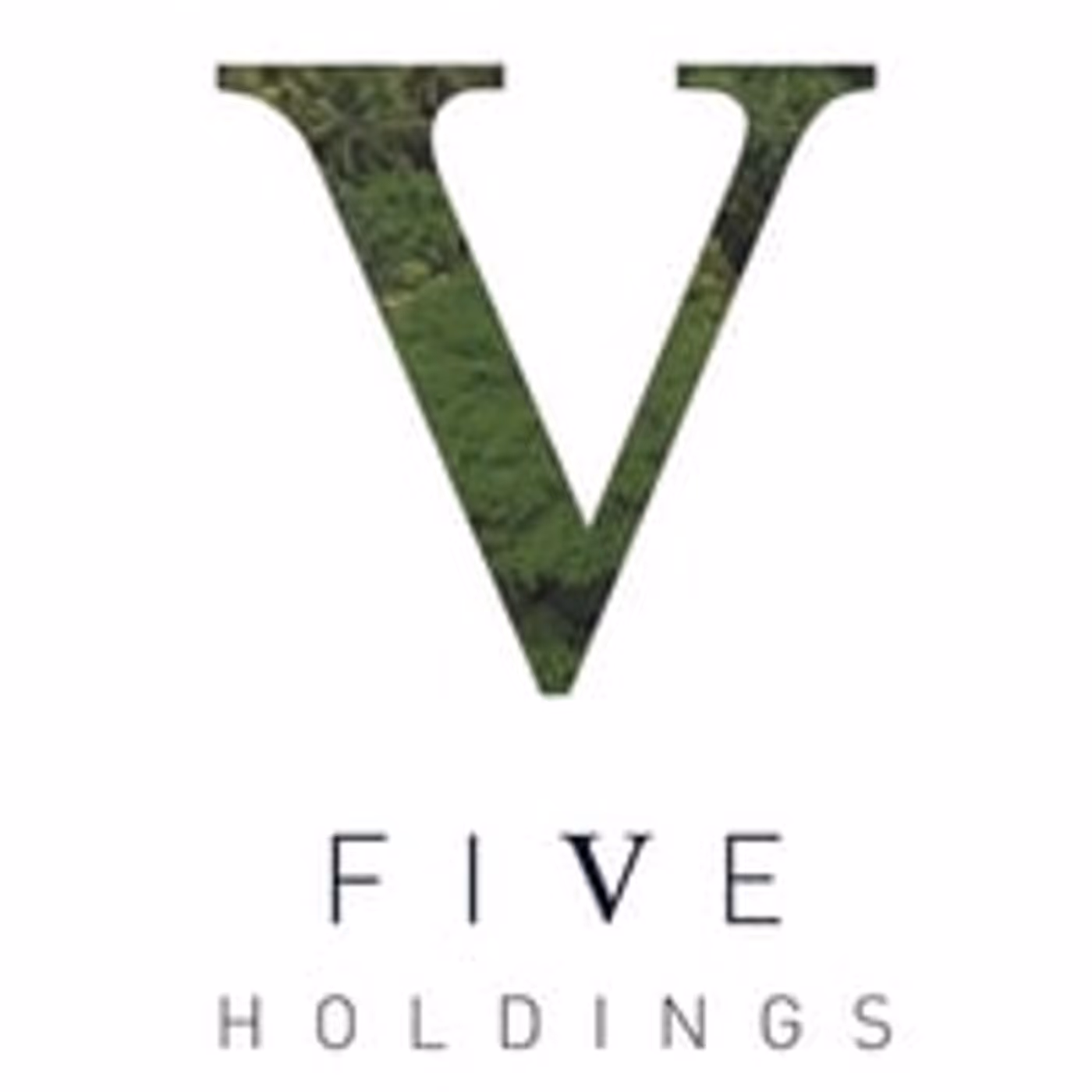 Five Holdings Properties projects