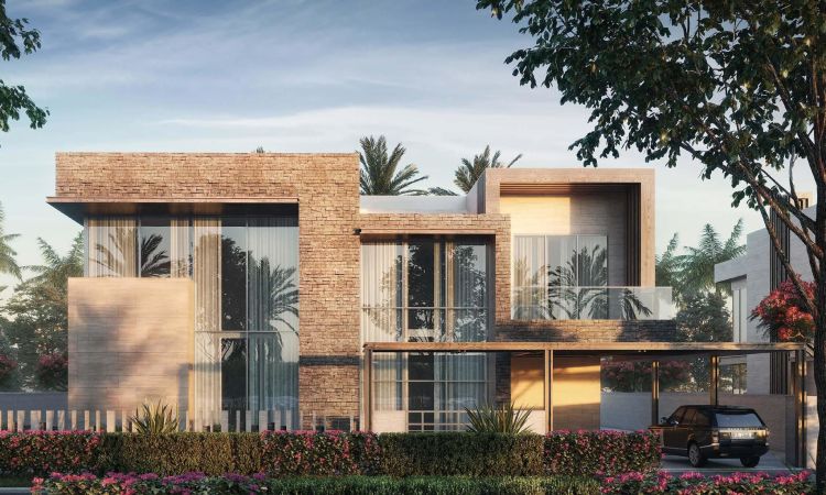 Saadiyat Reserve Plots