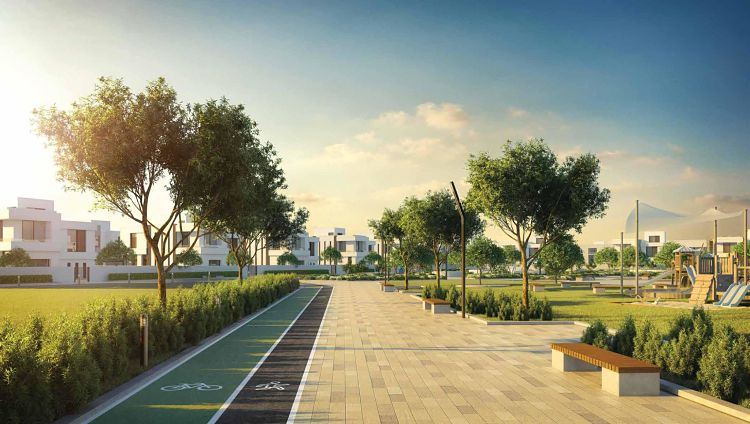 Al Reeman Plots - Stunny Community