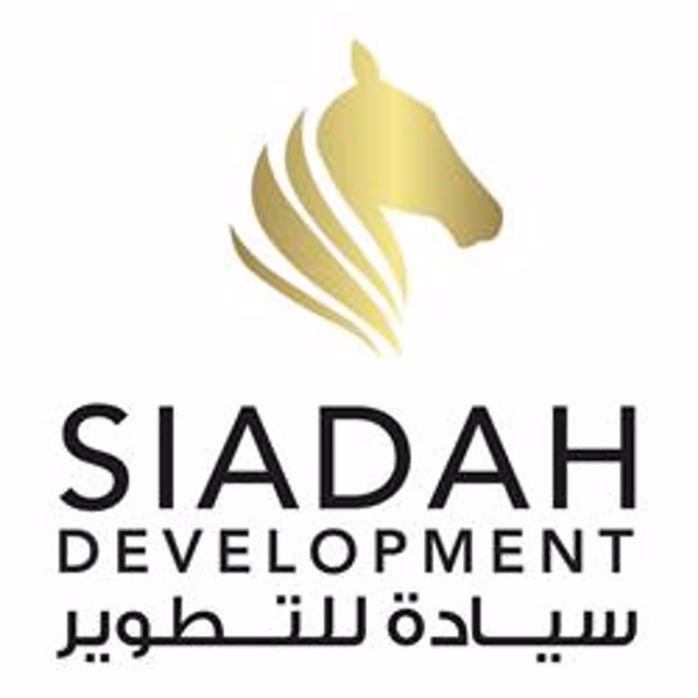 Siadah International Real Estate Development LLC projects