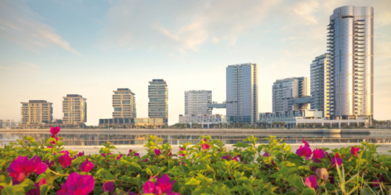 Freehold Plots in Sama Al Jaddaf