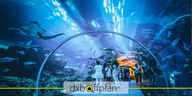 Everything you should know about Sharjah aquarium