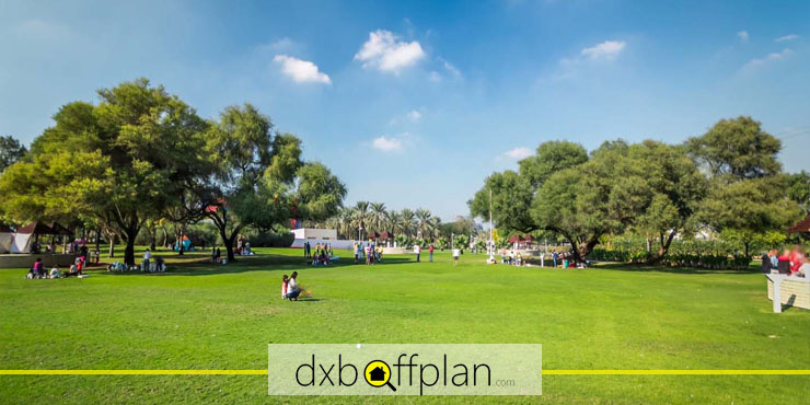 Creek Park Dubai: Complete Guide for First-Time Visitors