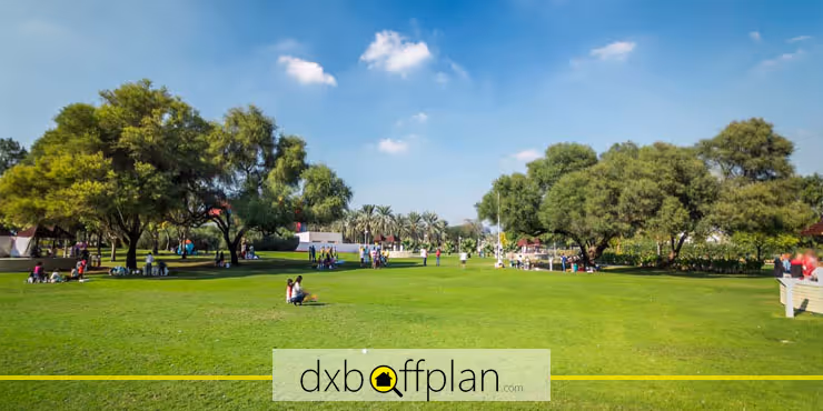 Creek Park Dubai: Complete Guide for First-Time Visitors