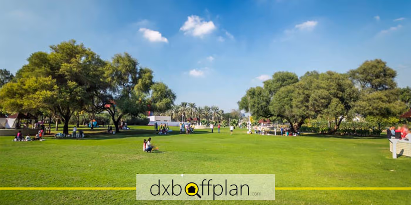 Creek Park Dubai: Complete Guide for First-Time Visitors