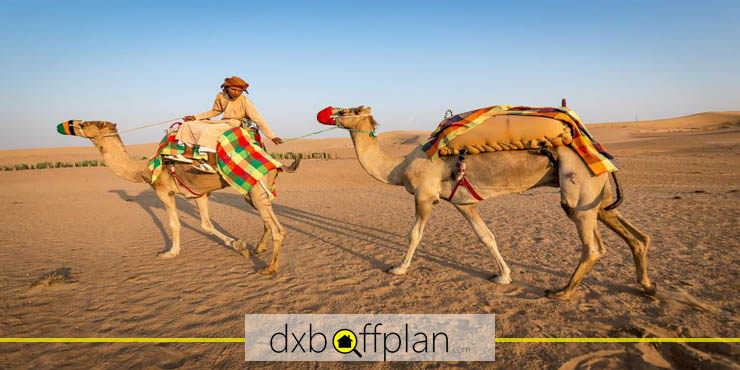 Sharjah Desert Park
