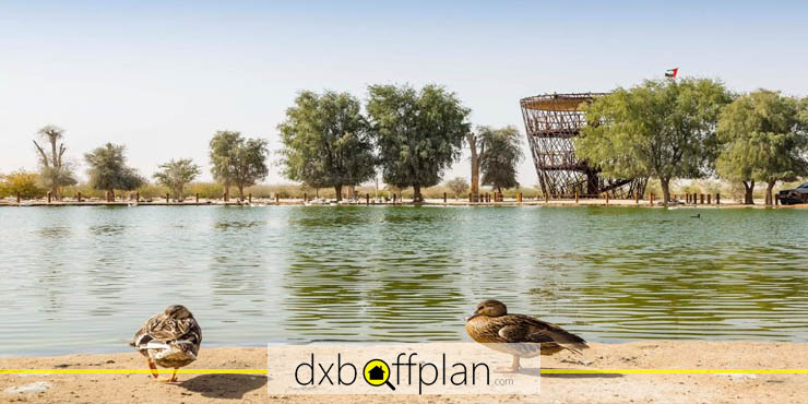 أشياء للقيام بها في القدرة في دبي