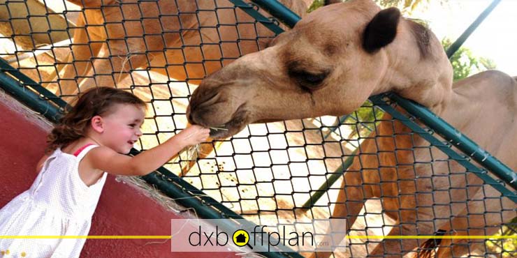Children's Farm at Sharjah Desert Park