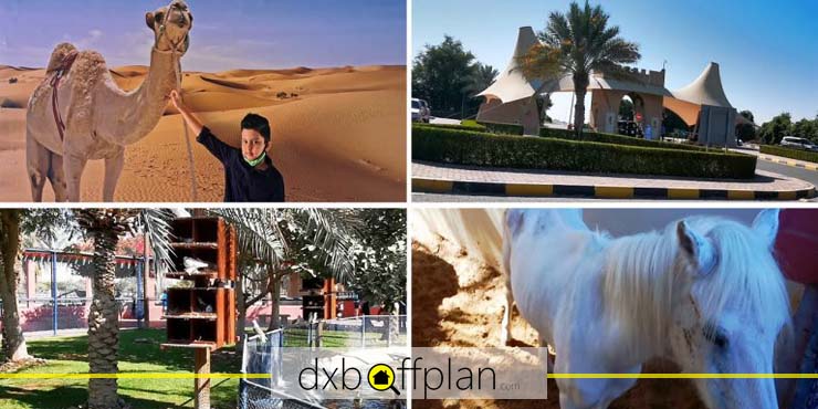 Features of Sharjah Desert Park