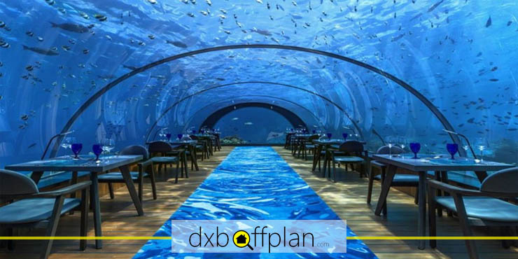 Cost and Accessibility of Underwater Restaurants in Dubai