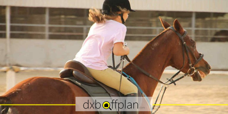 Ride at the Mushrif Equestrian Club