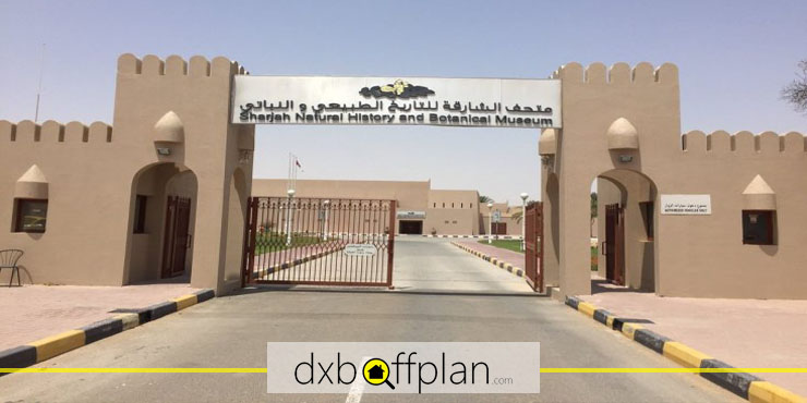 Sharjah Desert Park's Botanical Museum