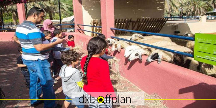 Sharjah Zoo Location