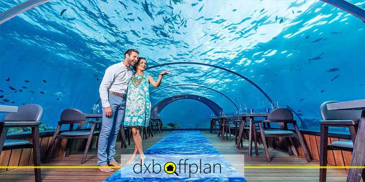 Top-notch Underwater Restaurants in Dubai