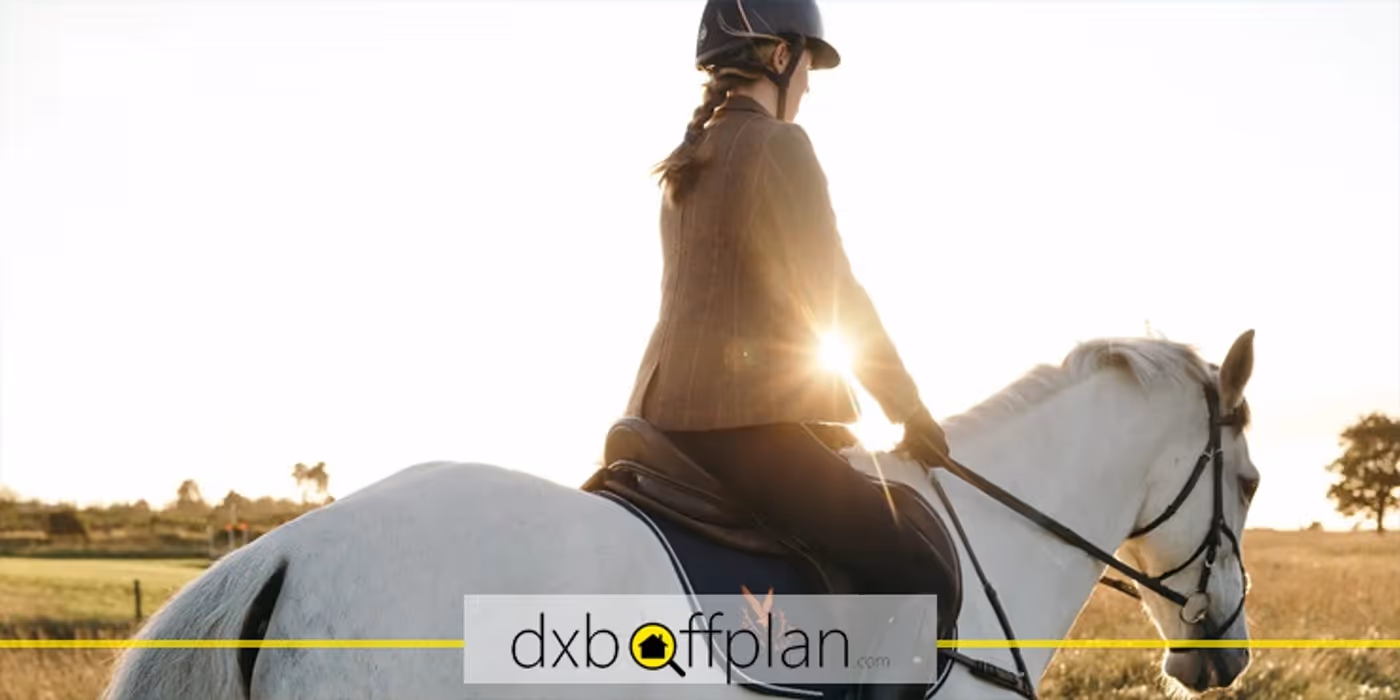 Discover the Best 12 Places for Horse Riding Lessons in Dubai