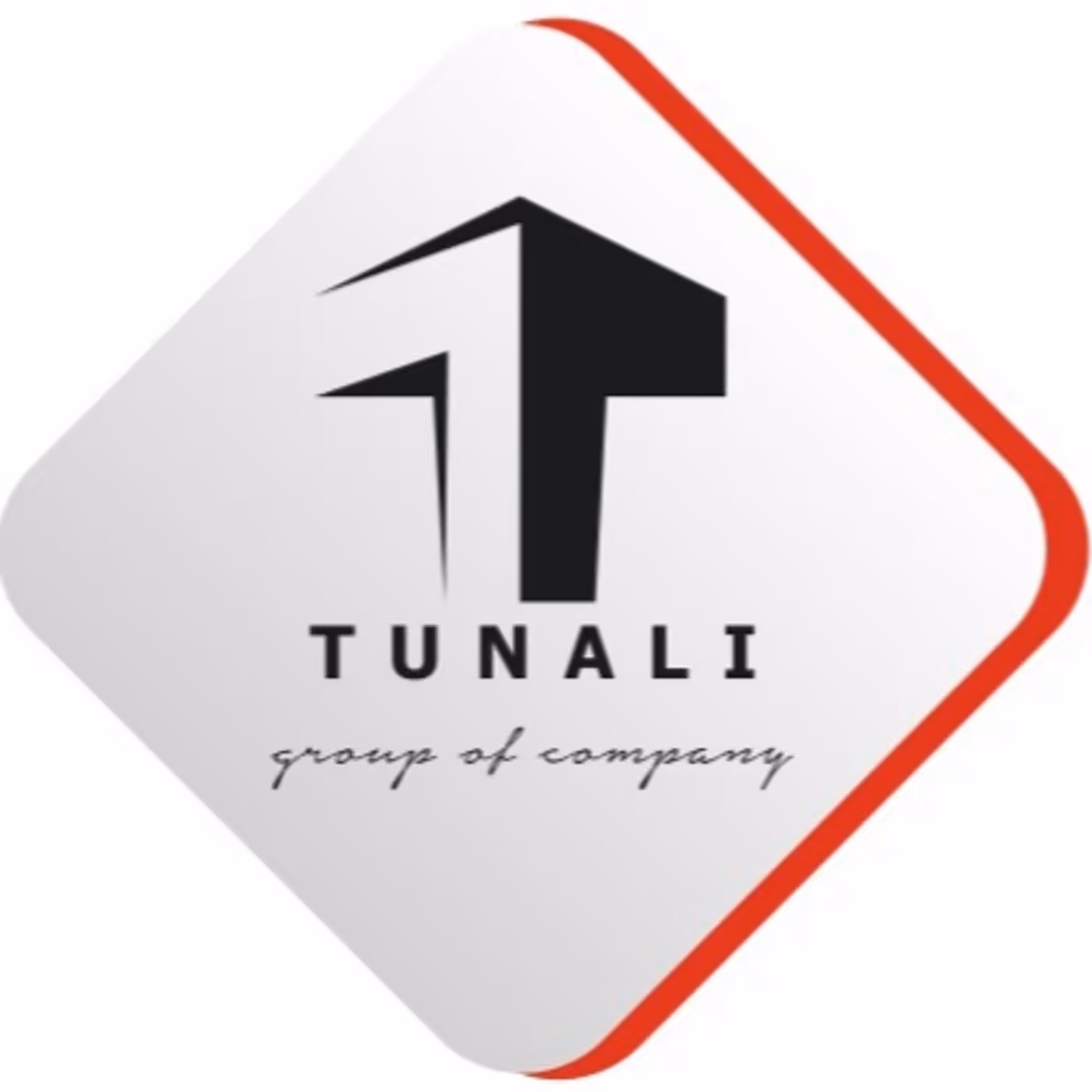 Tunali Construction projects