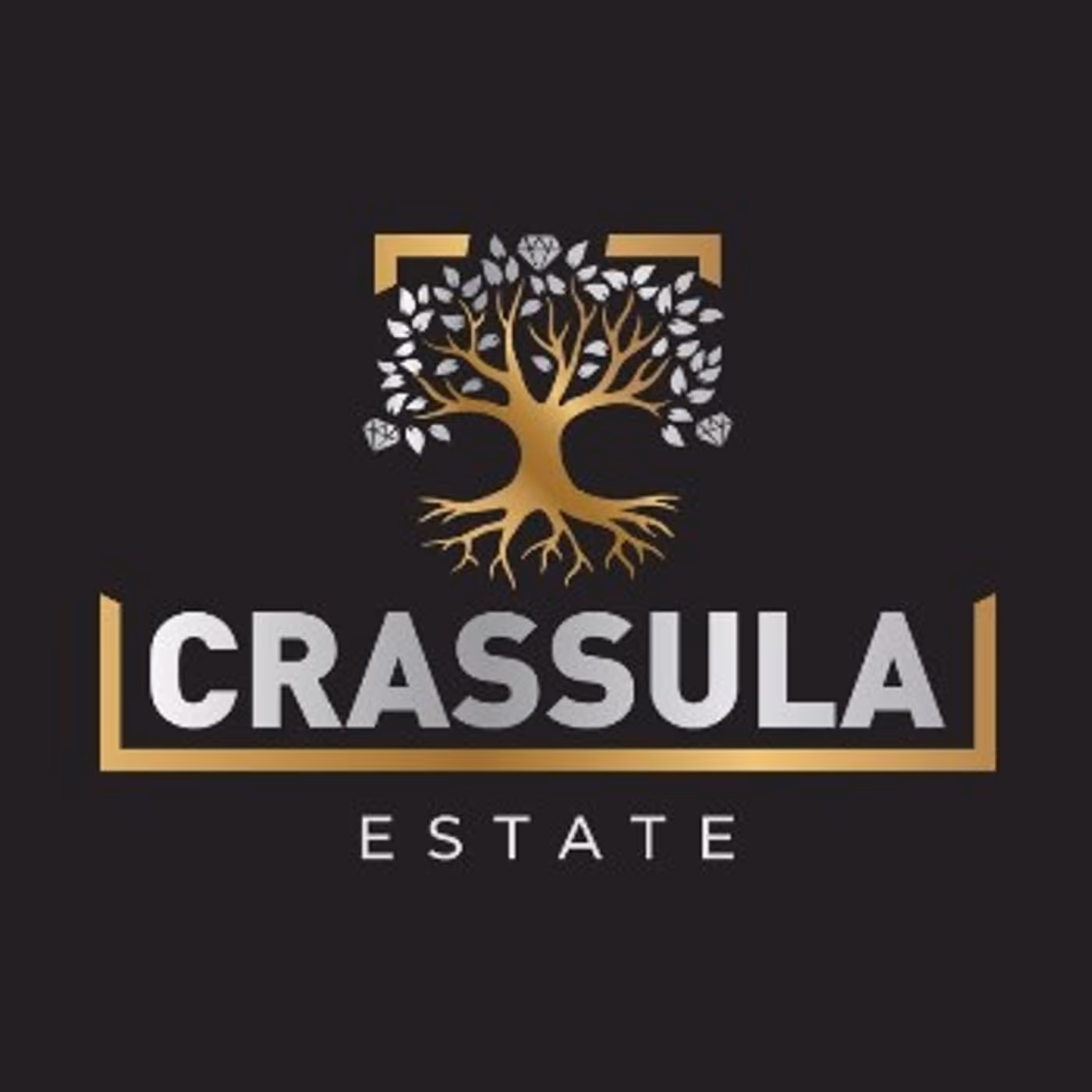 Crassula Estate Group Properties For Sale projects