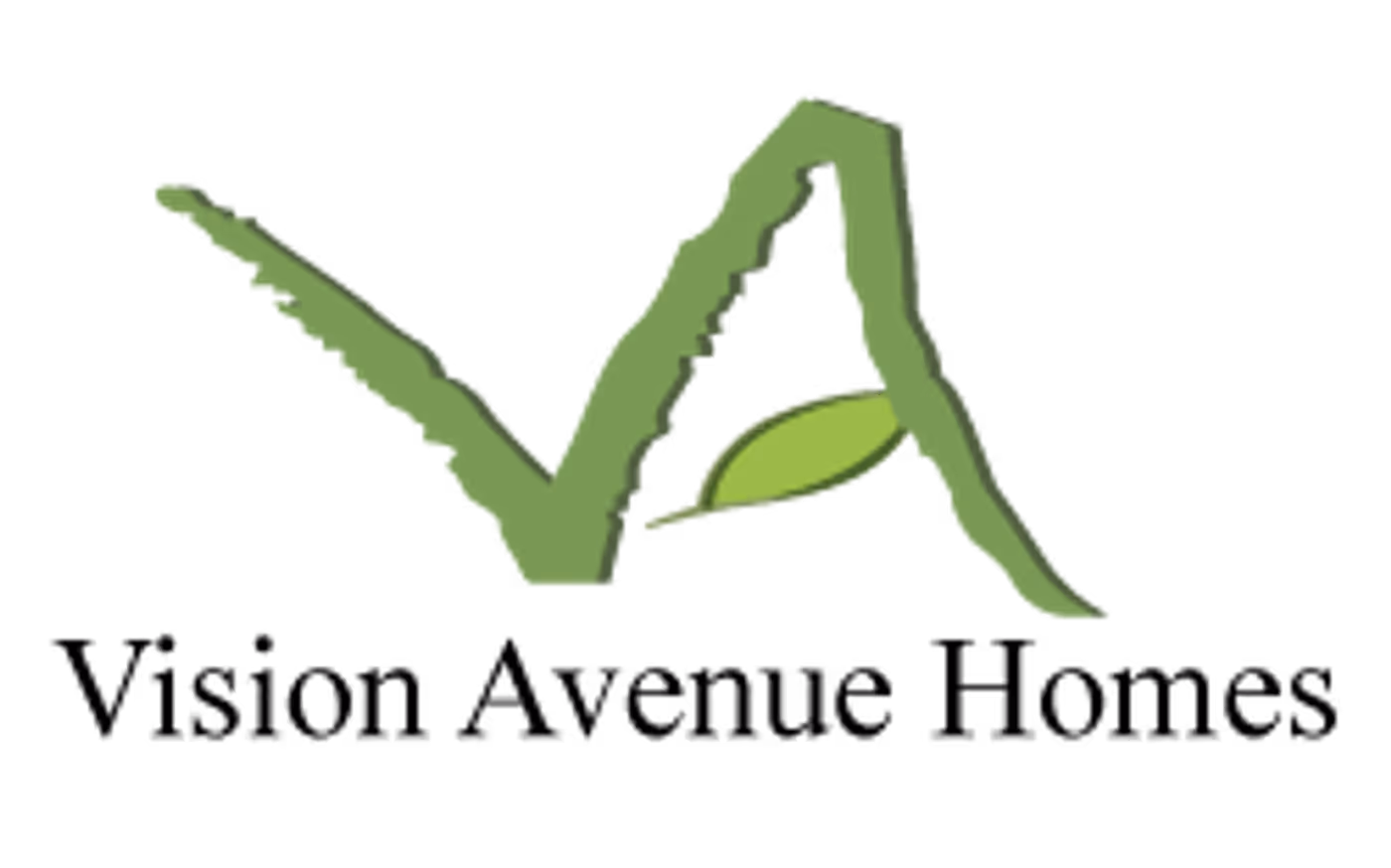 Vision Avenue Homes projects
