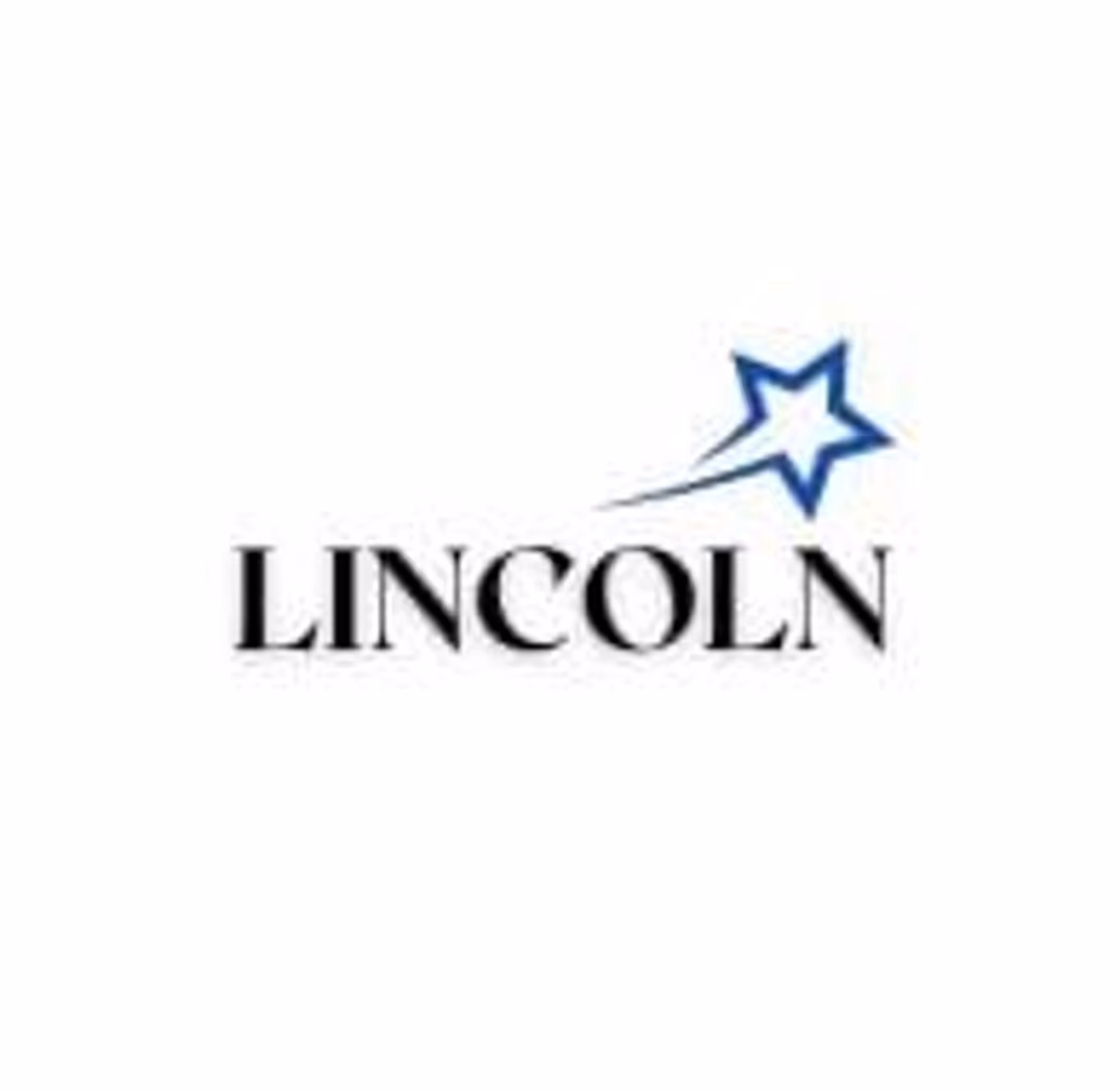 LINCOLN Group projects