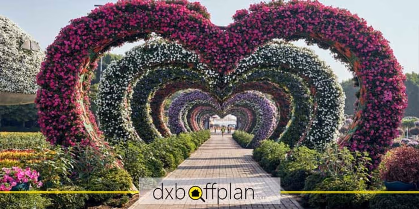 Explore Dubai's Miracle Garden