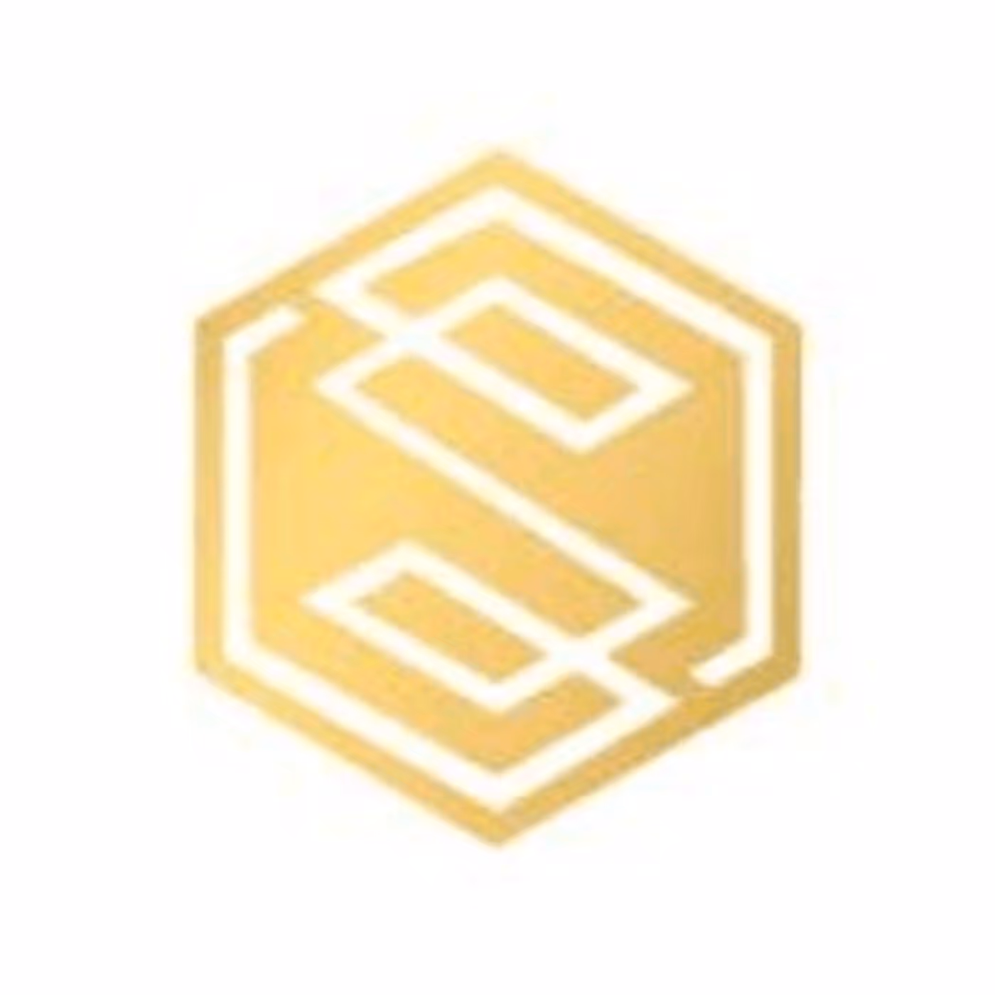 Symbolic Developments projects