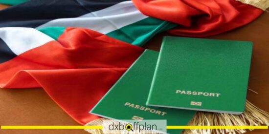 Comprehensive Guide to the UAE Green Visa