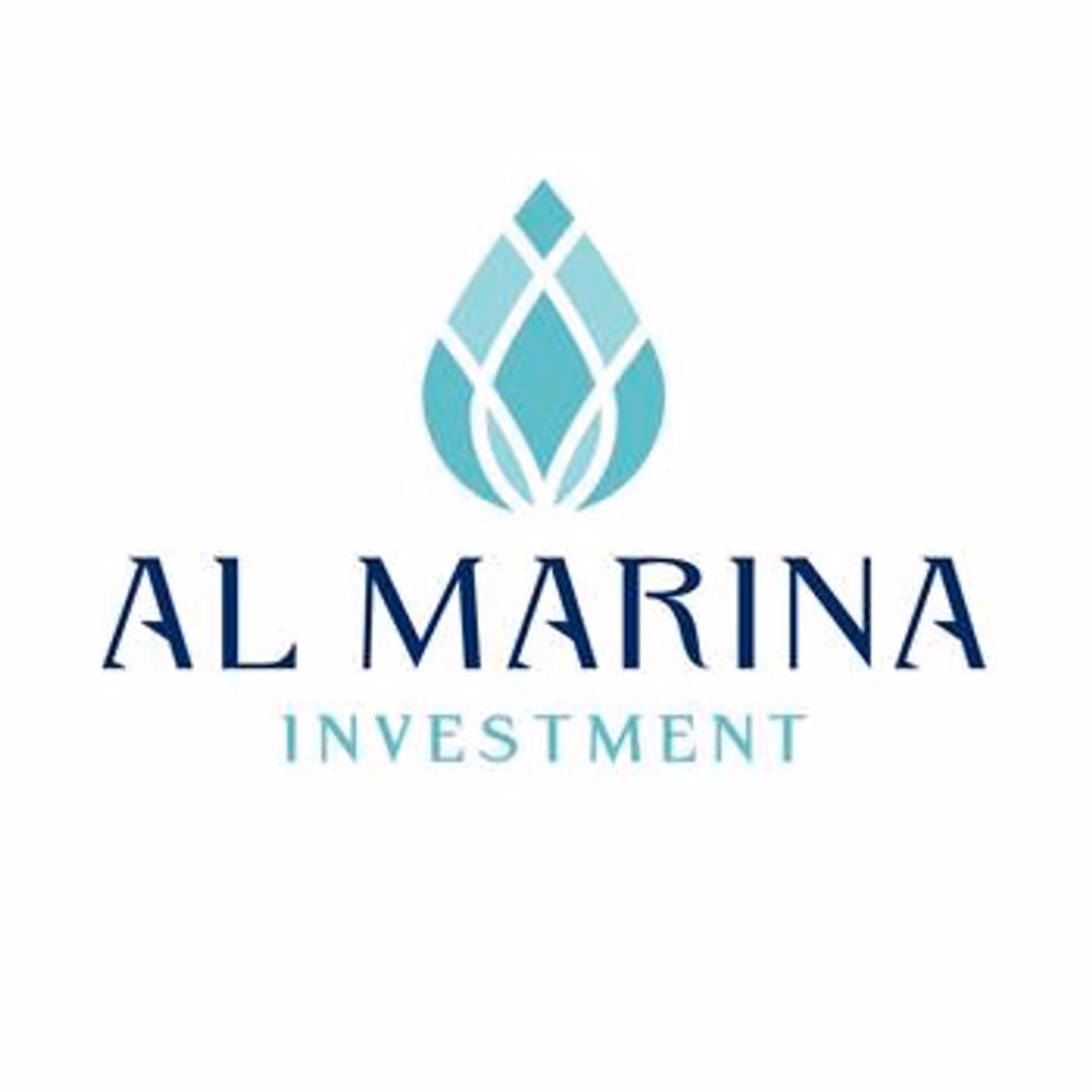 Al Marina Investment projects