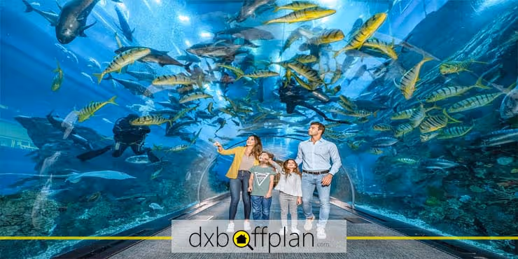 Dubai Underwater Aquarium and Underwater Zoo