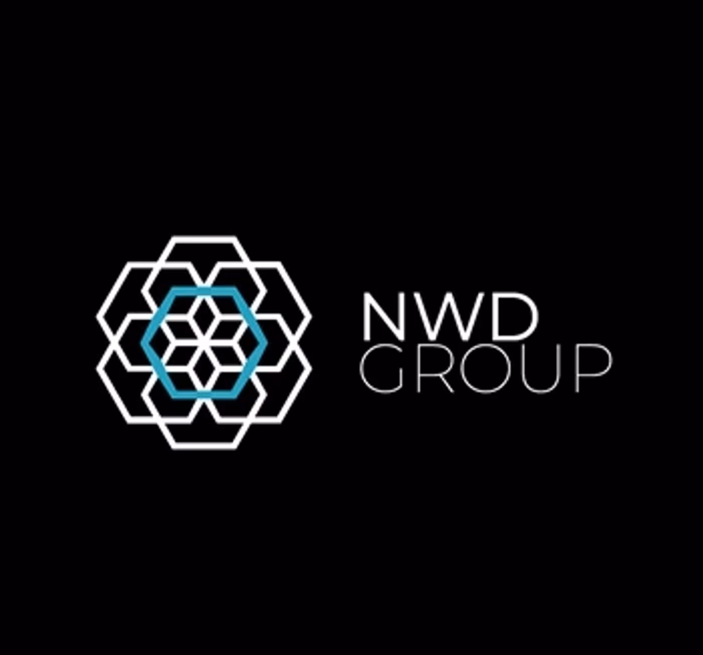 New World Developments projects