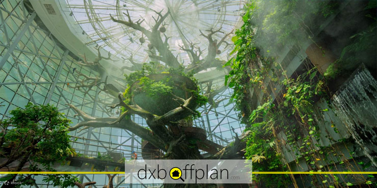 Rainforest Dome
