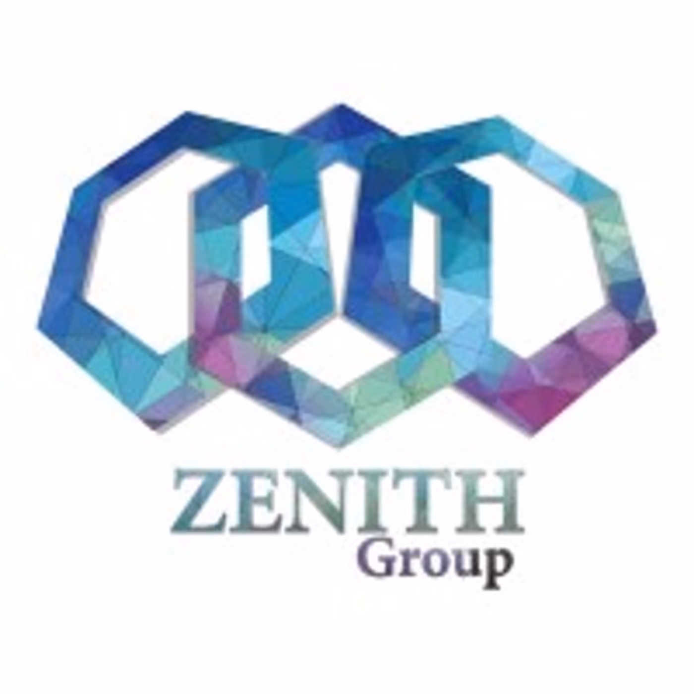 Zenith Group projects