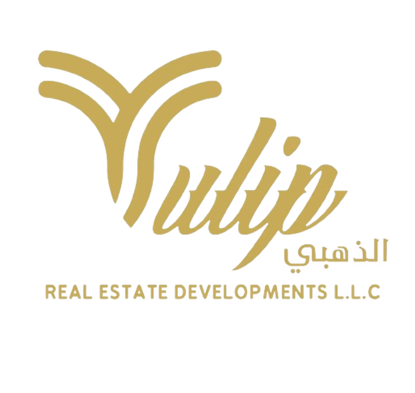 Tulip Real Estate Developments LLC projects