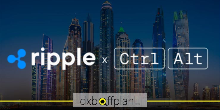 Ripple and Ctrl Alt Collaboration in Real Estate Project