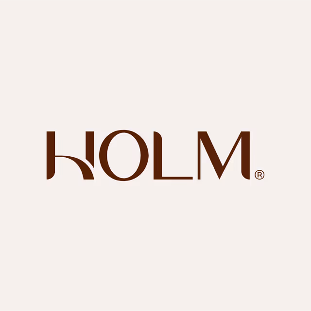 HOLM Developments logo