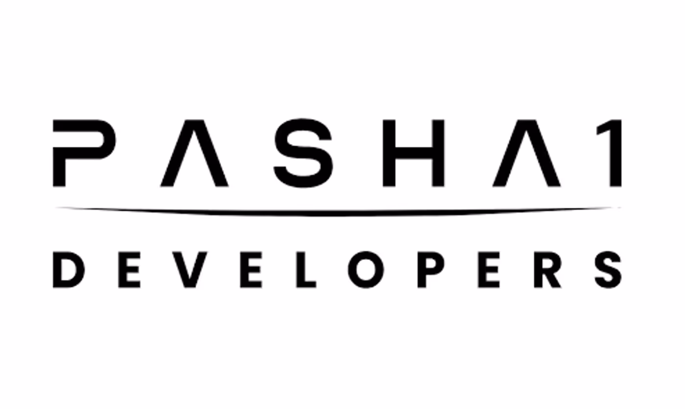 Pasha1 Developers projects