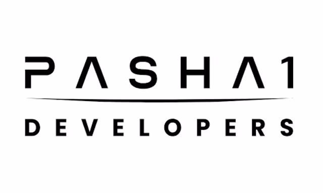 Pasha1 Developers logo