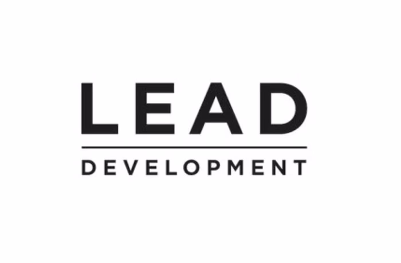 Lead Development projects