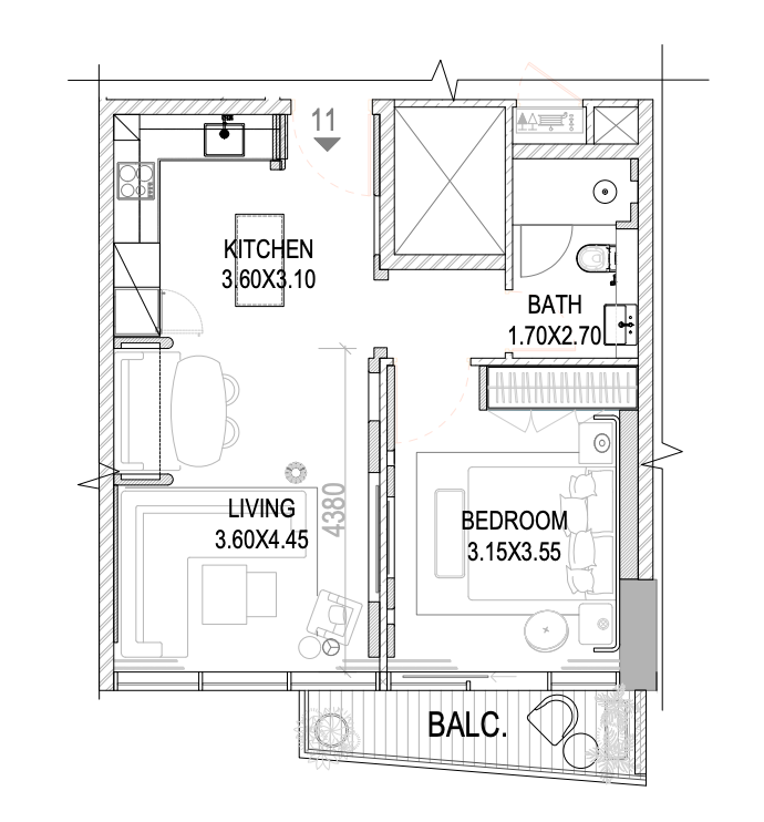 Type B1