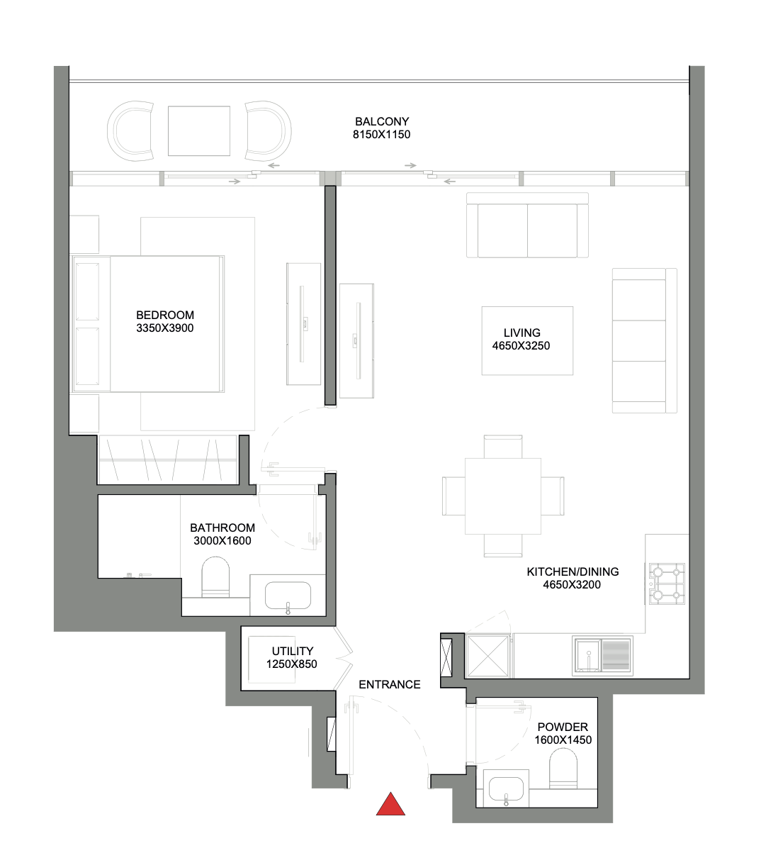 1 Bedroom Apartment