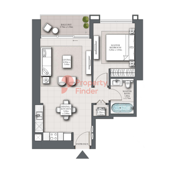 1 Bedroom Apartment